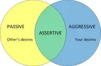 Assertiveness: The Goldilocks of Communication
